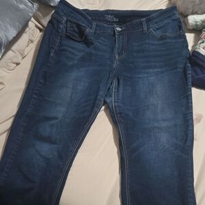 Time and Tru Women's Dark Blue Jeggings